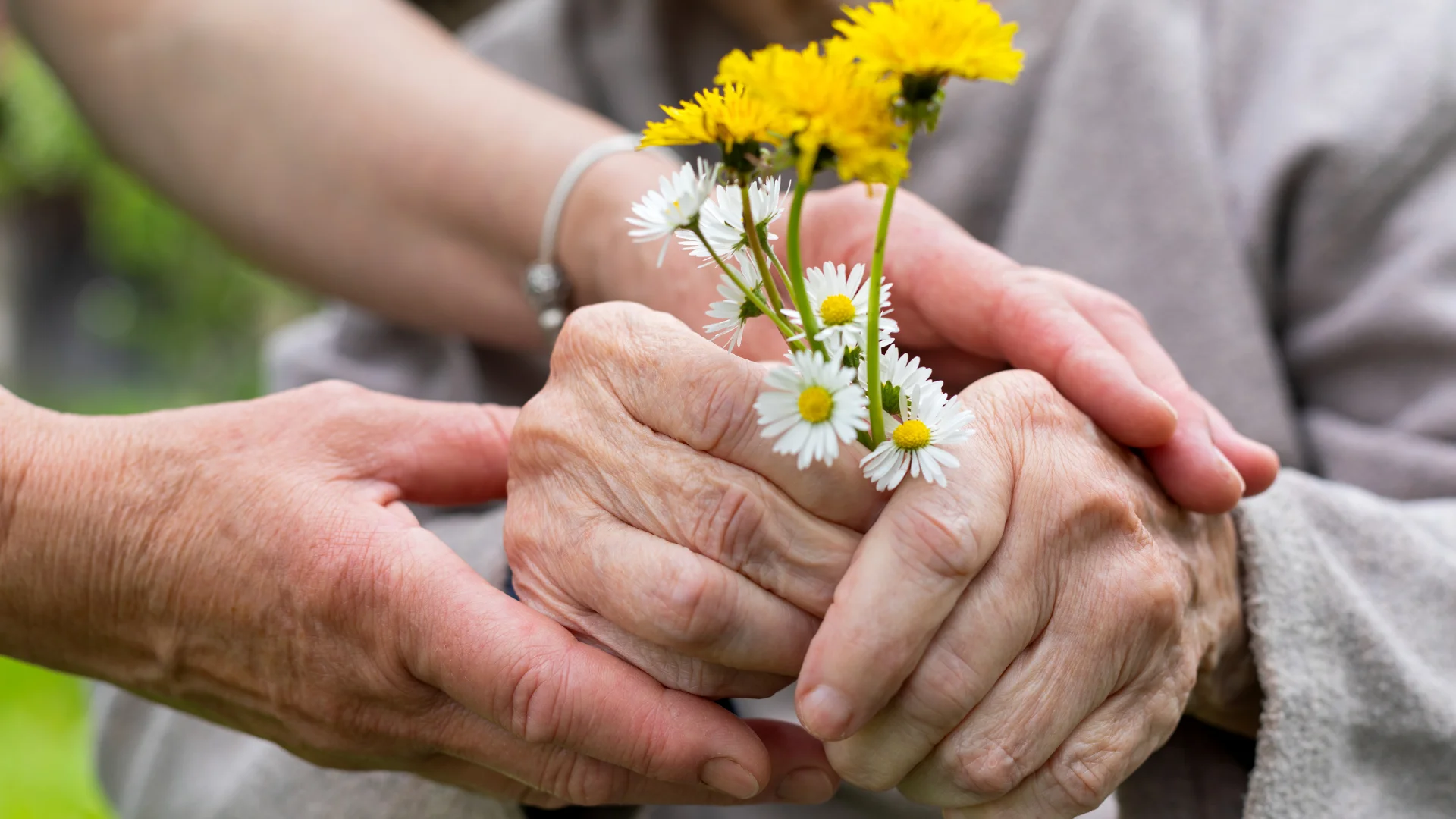 Soins palliatifs à domicile : accompagner avec douceur
